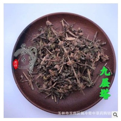 偏冷奇中草药材 别名： 九层塔 罗勒 兰香草 甜罗勒图2