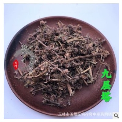 偏冷奇中草药材 别名： 九层塔 罗勒 兰香草 甜罗勒图3