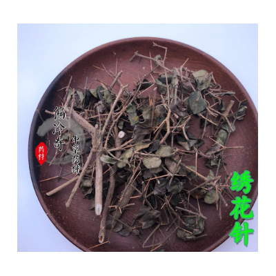 偏冷奇中草药材 别名：绣花针 刺虎 寿星草 寿庭木 雀不踏图3
