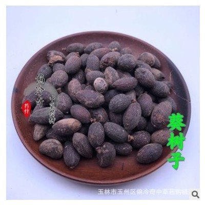 偏冷奇中草药材 别名： 葵树子、扇叶葵子、葵扇子、蒲葵子图2