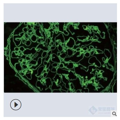 olympus显微镜 医疗学校科研用奥林巴斯CX43双目生物正置显微镜图2