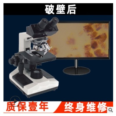 光学显微镜双目 1000儿童双筒高倍显微镜 高清学生正置生物显微镜图3