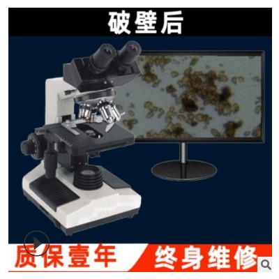 光学显微镜双目 1000儿童双筒高倍显微镜 高清学生正置生物显微镜