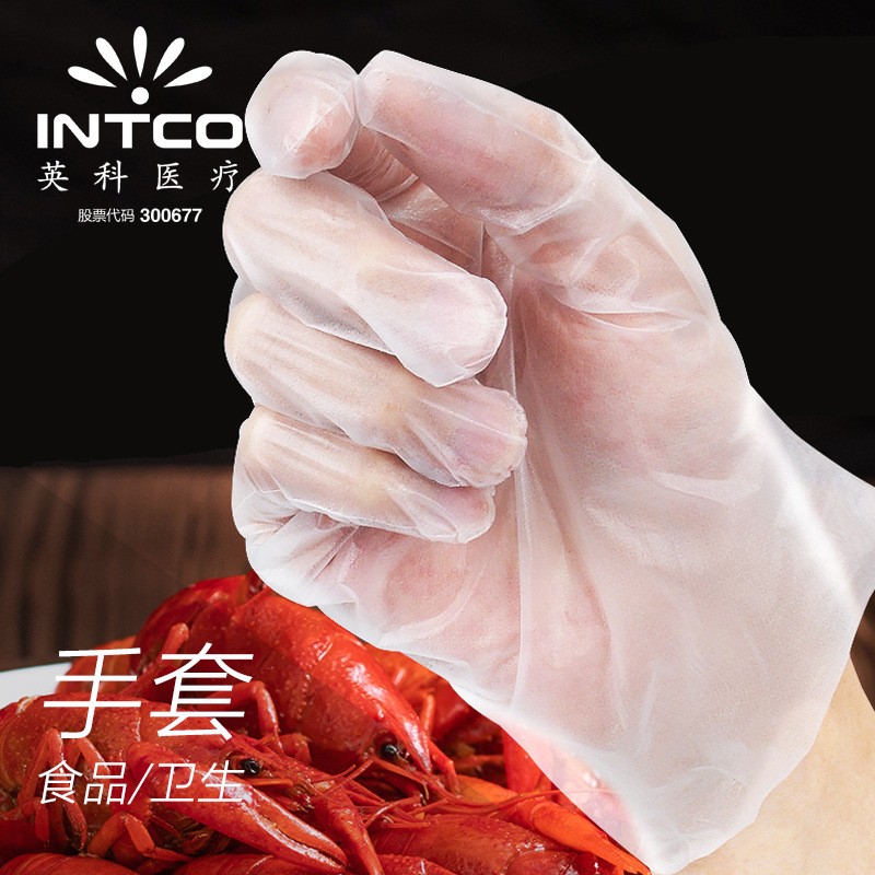英科一次性tpe手套批发 家用餐饮厨房炸鸡龙虾防水防油食品手套